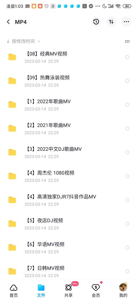 车载热舞MV，DJ音乐资源，某宝花128买到的好资源180G插图4